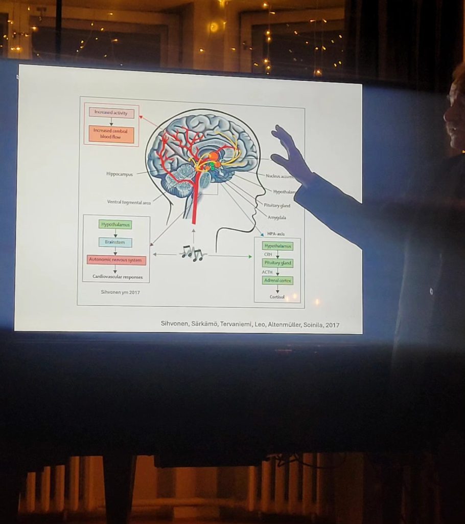 Neuroloian emeritusprofessori Seppo Soinila